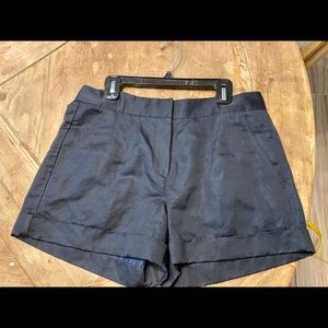 NWT Theory Lined Shorts Size 2 Sea Captain Blue